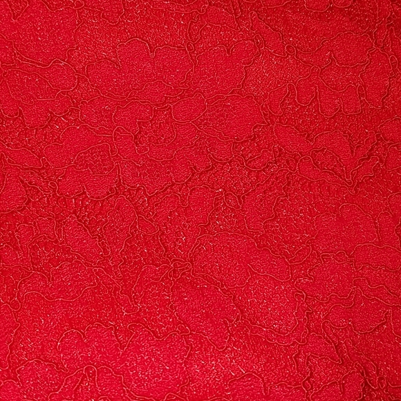 Red Lace Dress - Picture 4 of 4